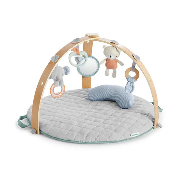 Ingenuity Ginásio de Atividades Cozy Spot Loamy™
