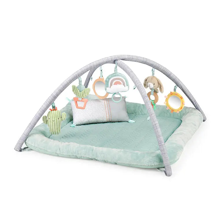 Ingenuity Tapete de Atividades Calm Springs™ Chic Boutique Saro