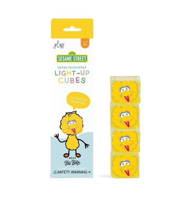 Conjunto 4 Cubos GloPals - Big Bird