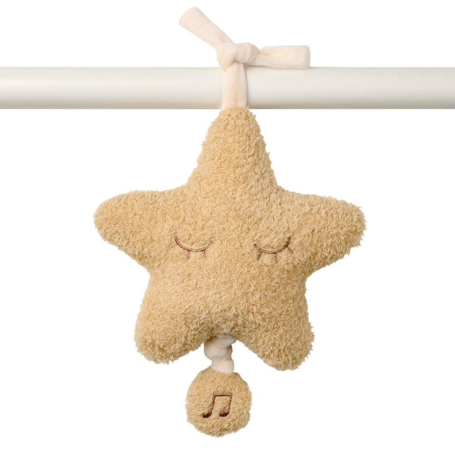 Nattou Estrela Musical de Peluche Teddy