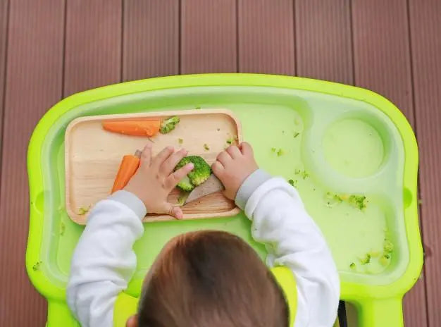 Baby-Led Weaning – tire as suas duvidas