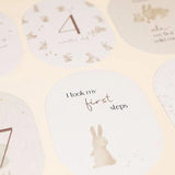 Cartões de Crescimento Little Dutch Baby Bunny