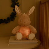 Little Dutch Coelhinho Com Luz e Som