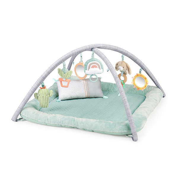 Ingenuity Tapete de Atividades Calm Springs™ Chic Boutique