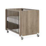 Trama Minicama Nona Outfit