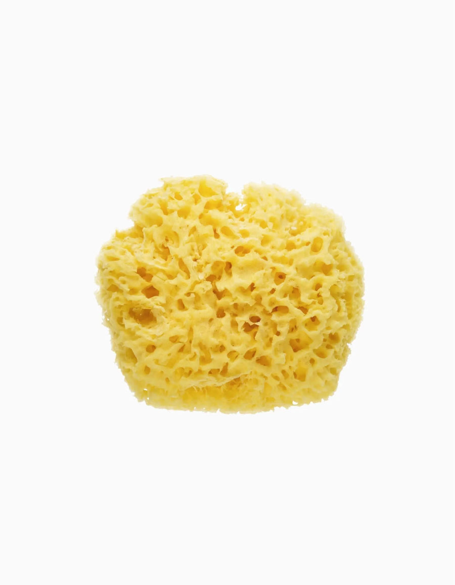 Saro Esponja Natural Saro