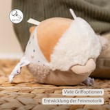Nattou Bola de Peluche 15 cm Bege