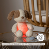 Nattou Luz Noturna Teddy Baby Cão 25 cm