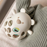 Nattou Chocalho Urso em Silicone com Bola