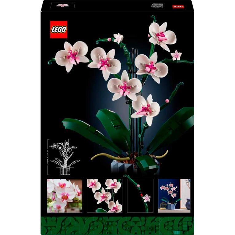 LEGO® Botanicals – Orquídea