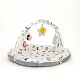 Olmitos Tapete de Atividades Leão Olmitos