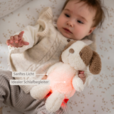 Nattou Luz Noturna Teddy Baby Cão 25 cm