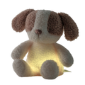 Nattou Luz Noturna Teddy Baby Cão 25 cm