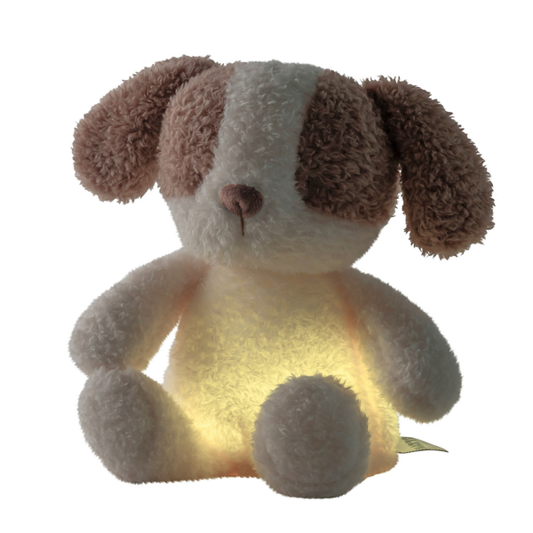 Nattou Luz Noturna Teddy Baby Cão 25 cm