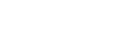 Cybex